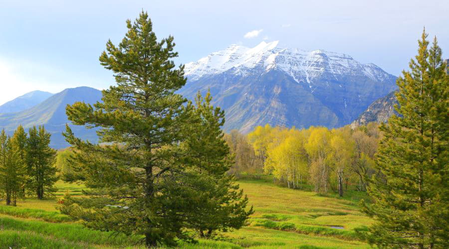 Principais opções de aluguel de carros em Sundance